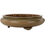Round green bonsai pot by Itouen - 308 x 308 x 100 mm