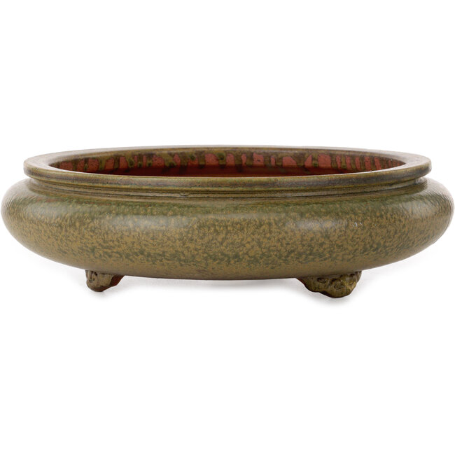 Round green bonsai pot by Itouen - 308 x 308 x 100 mm