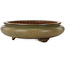 Round green bonsai pot by Itouen - 308 x 308 x 100 mm