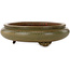 Round green bonsai pot by Itouen - 308 x 308 x 100 mm