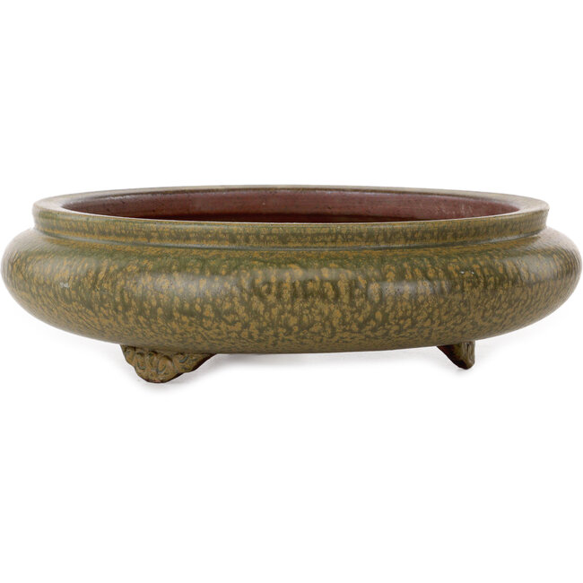 Round green bonsai pot by Itouen - 308 x 308 x 100 mm