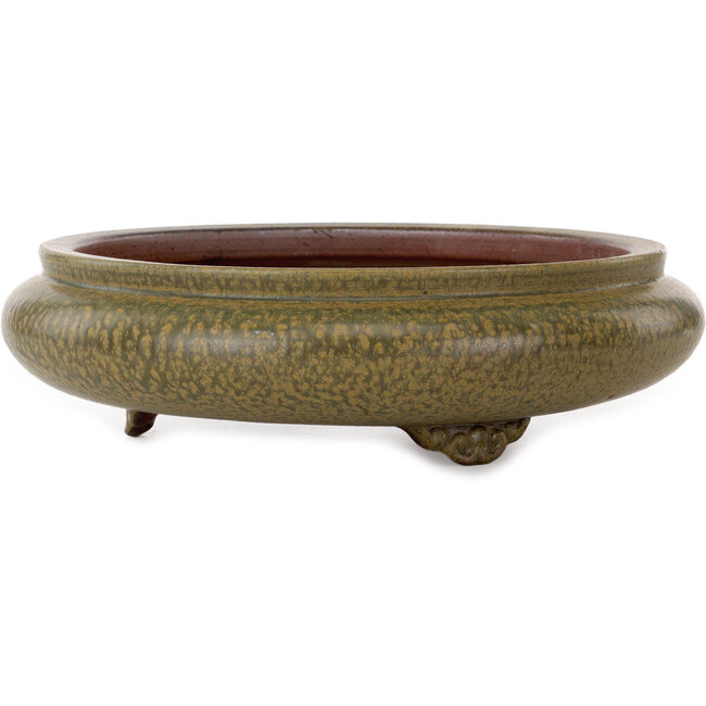 Round green bonsai pot by Itouen - 308 x 308 x 100 mm