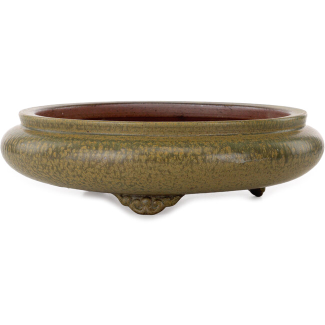 Round green bonsai pot by Itouen - 308 x 308 x 100 mm