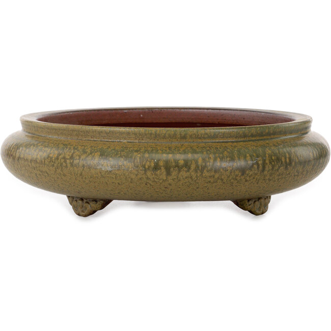 Round green bonsai pot by Itouen - 308 x 308 x 100 mm