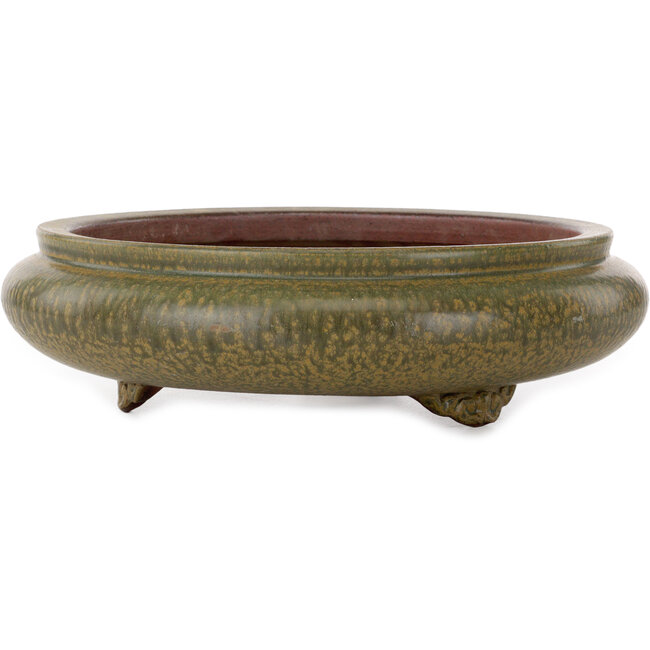 Round green bonsai pot by Itouen - 308 x 308 x 100 mm