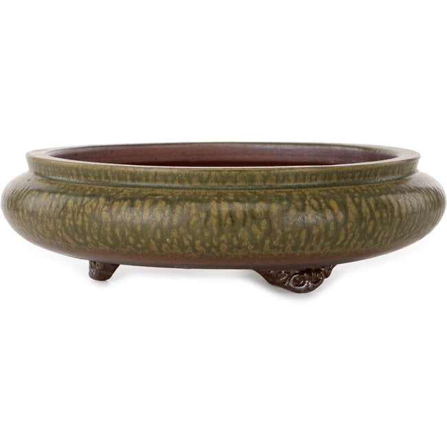 Round green bonsai pot by Itouen - 308 x 308 x 100 mm