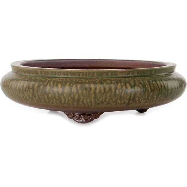 Round green bonsai pot by Itouen - 308 x 308 x 100 mm