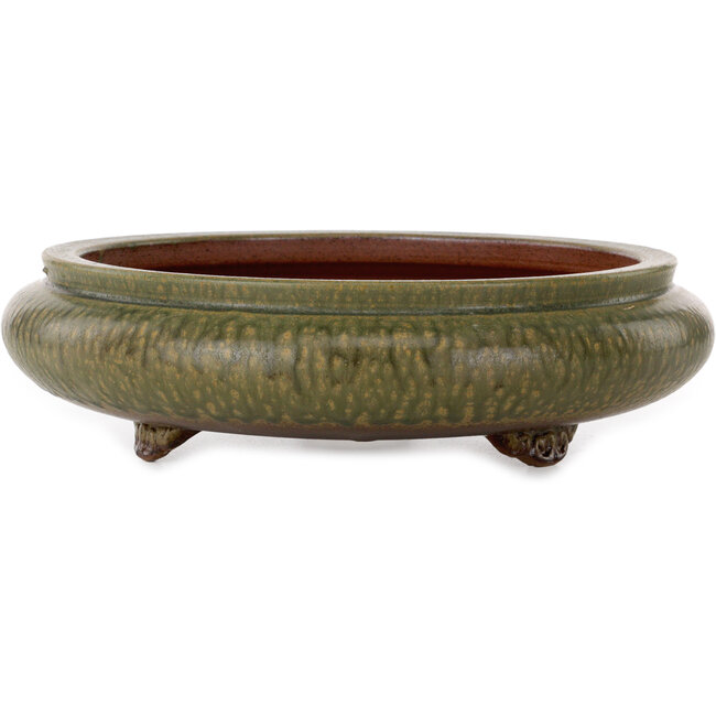 Round green bonsai pot by Itouen - 308 x 308 x 100 mm