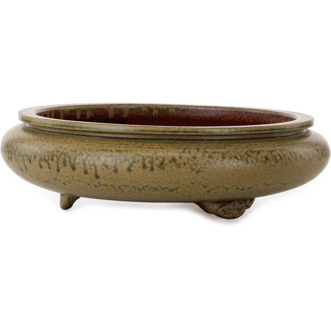 Round green bonsai pot by Itouen - 308 x 308 x 100 mm