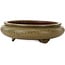 Round green bonsai pot by Itouen - 308 x 308 x 100 mm