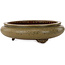 Round green bonsai pot by Itouen - 308 x 308 x 100 mm