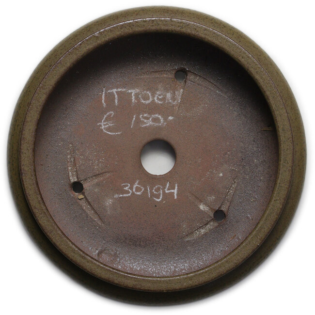 Round green bonsai pot by Itouen - 308 x 308 x 100 mm