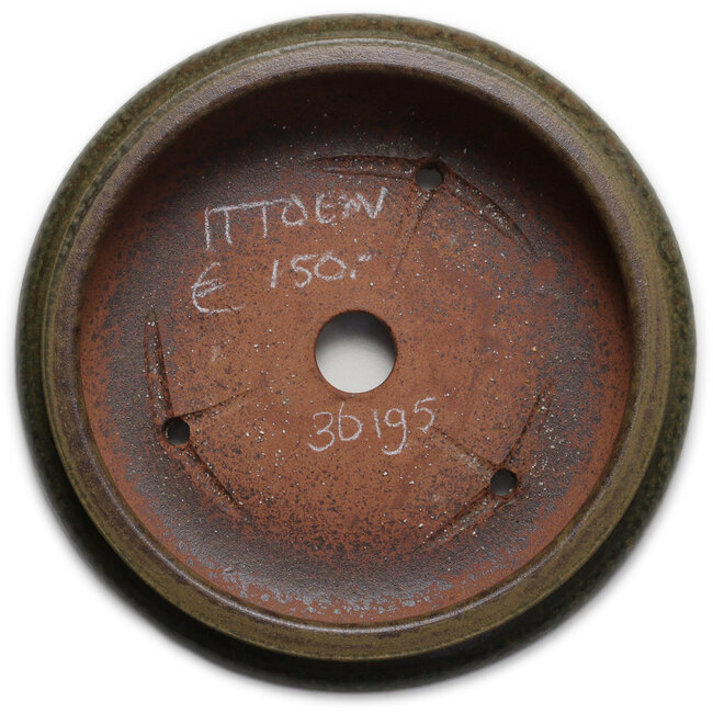 Round green bonsai pot by Itouen - 308 x 308 x 100 mm