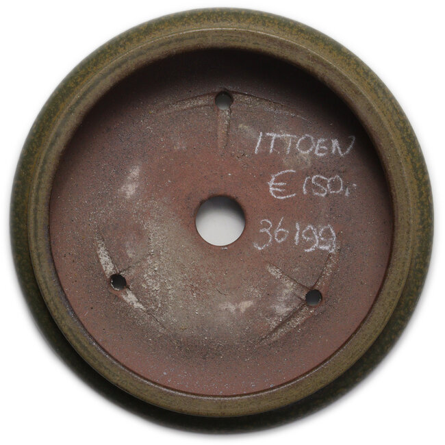 Round green bonsai pot by Itouen - 308 x 308 x 100 mm