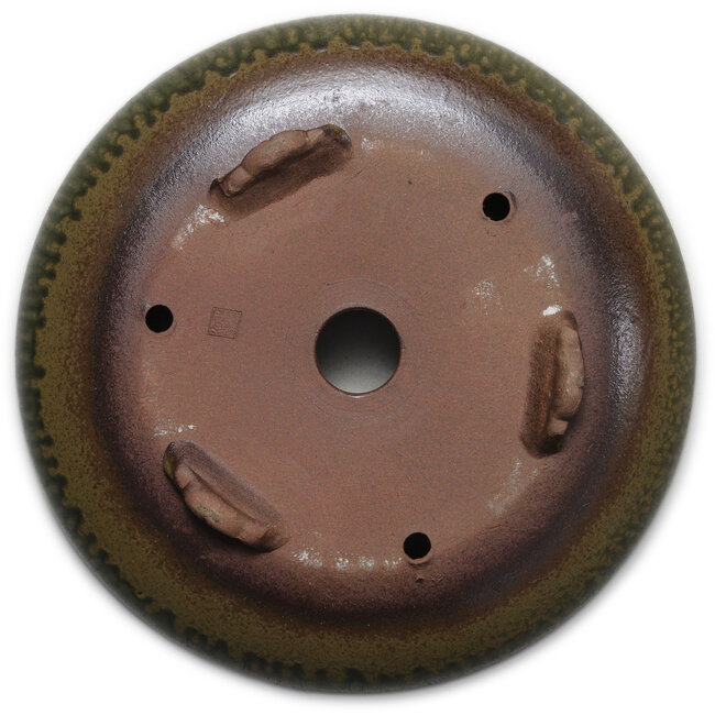 Round green bonsai pot by Itouen - 308 x 308 x 100 mm