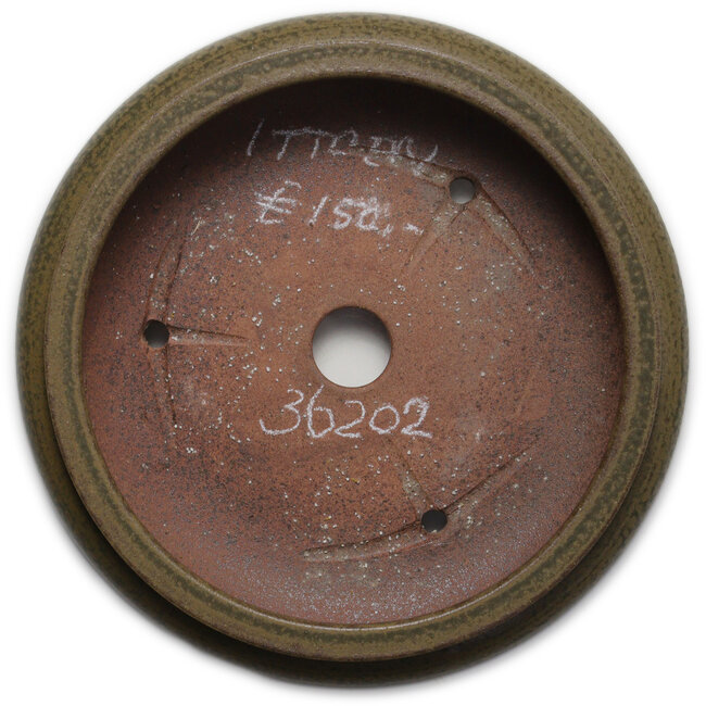 Round green bonsai pot by Itouen - 308 x 308 x 100 mm