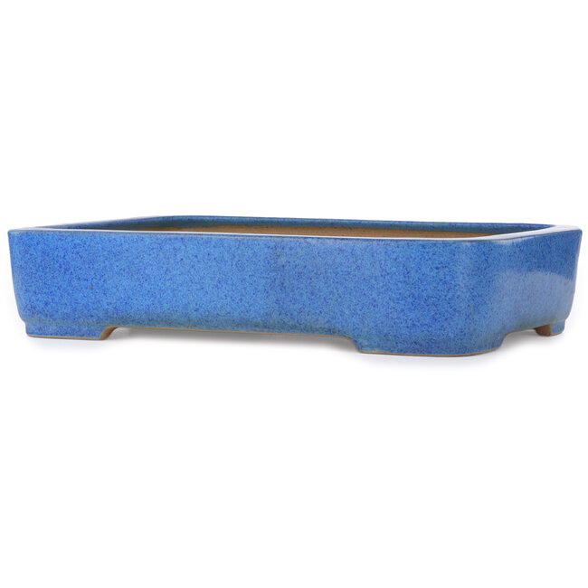 Maceta rectangular para bonsái azul de Seizan (Reihou, Kataoka Katsushi, maestro del horno Seizan) - 493 x 354 x 110 mm