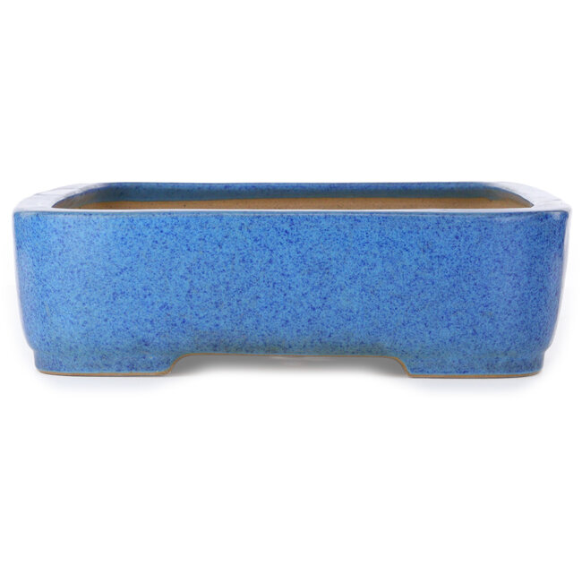Rechthoekige blauwe bonsaipot van Seizan (Reihou, Kataoka Katsushi, meester Seizan oven) - 493 x 354 x 110 mm
