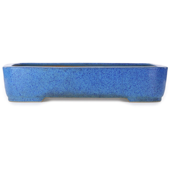 Vaso bonsai rettangolare blu di Seizan (Reihou, Kataoka Katsushi, forno del maestro Seizan) - 493 x 354 x 110 mm