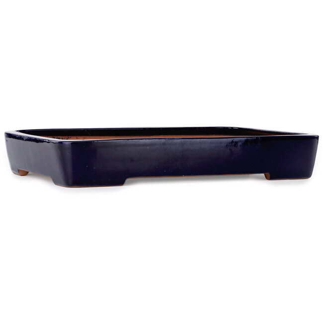 Maceta rectangular azul para bonsái de Yamafusa - 470 x 325 x 74 mm