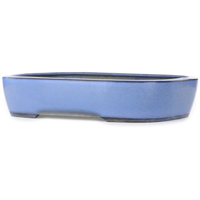 Pot à bonsaï rectangulaire bleu - 435 x 340 x 90 mm