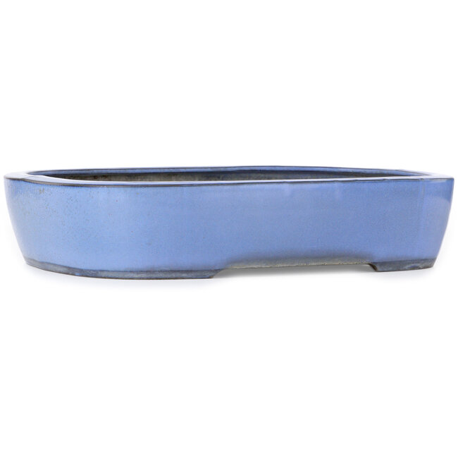 Pot à bonsaï rectangulaire bleu - 435 x 340 x 90 mm