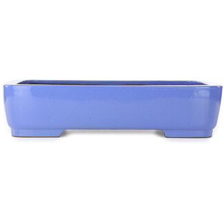  Kakuzan Maceta rectangular azul para bonsái de 440 mm de Kakuzan, Tokoname, Japón