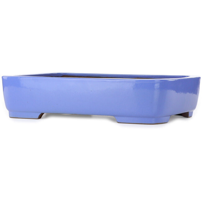 Maceta rectangular azul para bonsái de Kakuzan - 440 x 320 x 100 mm