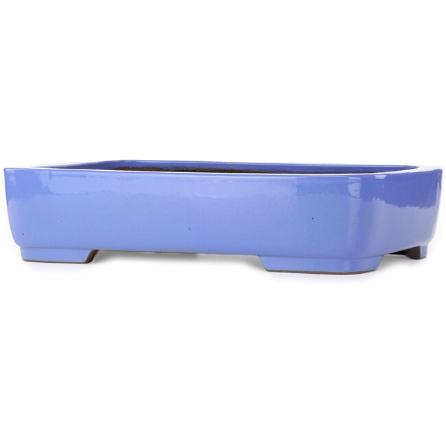 Pot à bonsaï rectangulaire bleu de Kakuzan - 440 x 320 x 100 mm