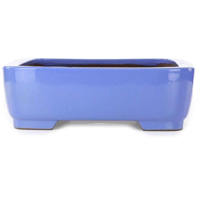 Vaso bonsai rettangolare blu di Kakuzan - 440 x 320 x 100 mm