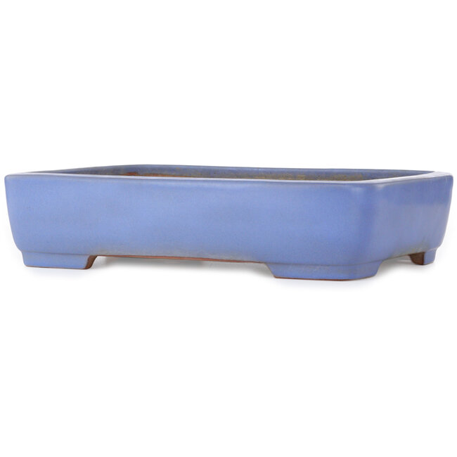 Vaso bonsai rettangolare blu di Yamafusa - 405 x 305 x 90 mm
