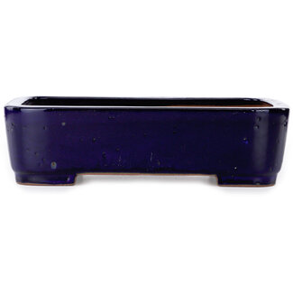 Seizan (Reihou, Kataoka Katsushi, master Seizan kiln) 360 mm rechthoekige blauwe bonsaipot van Seizan (Reihou, Kataoka Katsushi, meester Seizan oven), Tokoname, Japan