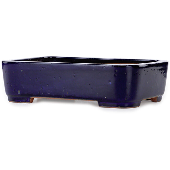 Rechteckiger blauer Bonsaitopf von Seizan (Reihou, Kataoka Katsushi, Meister Seizan-Ofen) – 360 x 265 x 95 mm