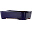 Rectangular blue bonsai pot by Seizan (Reihou, Kataoka Katsushi, master Seizan kiln) - 360 x 265 x 95 mm