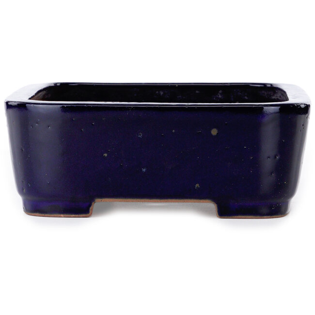 Maceta rectangular para bonsái azul de Seizan (Reihou, Kataoka Katsushi, maestro del horno Seizan) - 360 x 265 x 95 mm