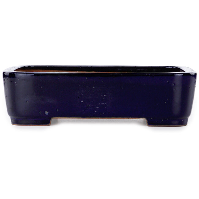 Vaso bonsai rettangolare blu di Seizan (Reihou, Kataoka Katsushi, forno del maestro Seizan) - 360 x 265 x 95 mm