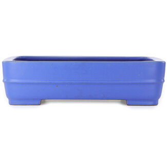 Seizan (Reihou, Kataoka Katsushi, master Seizan kiln) Pot à bonsaï rectangulaire bleu de 415 mm par Seizan (Reihou, Kataoka Katsushi, maître four Seizan), Tokoname, Japon