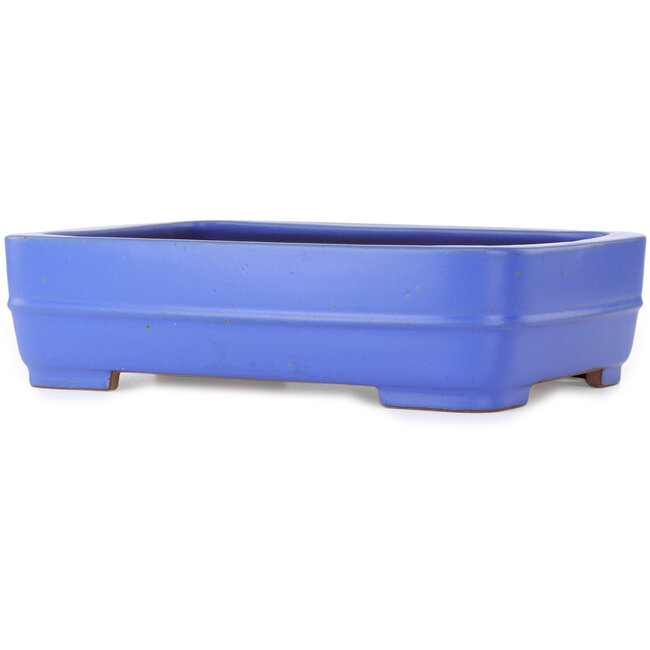 Rechthoekige blauwe bonsaipot van Seizan (Reihou, Kataoka Katsushi, meester Seizan oven) - 415 x 302 x 108 mm