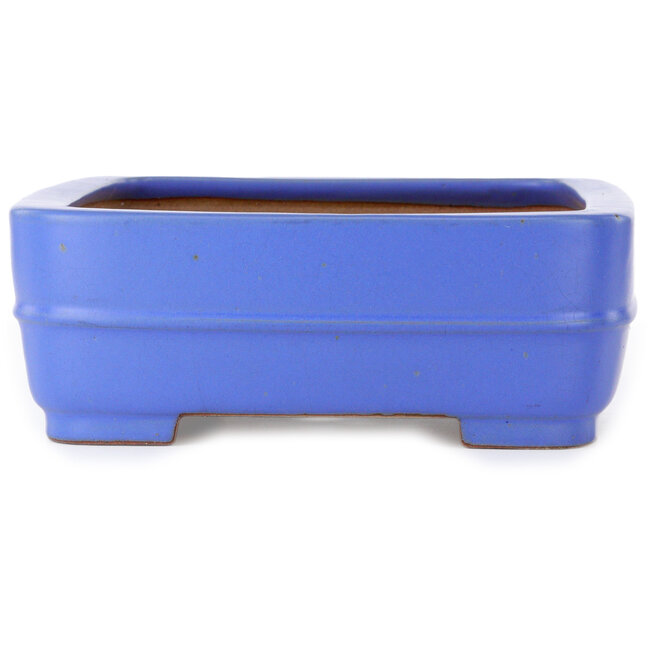 Rectangular blue bonsai pot by Seizan (Reihou, Kataoka Katsushi, master Seizan kiln) - 415 x 302 x 108 mm
