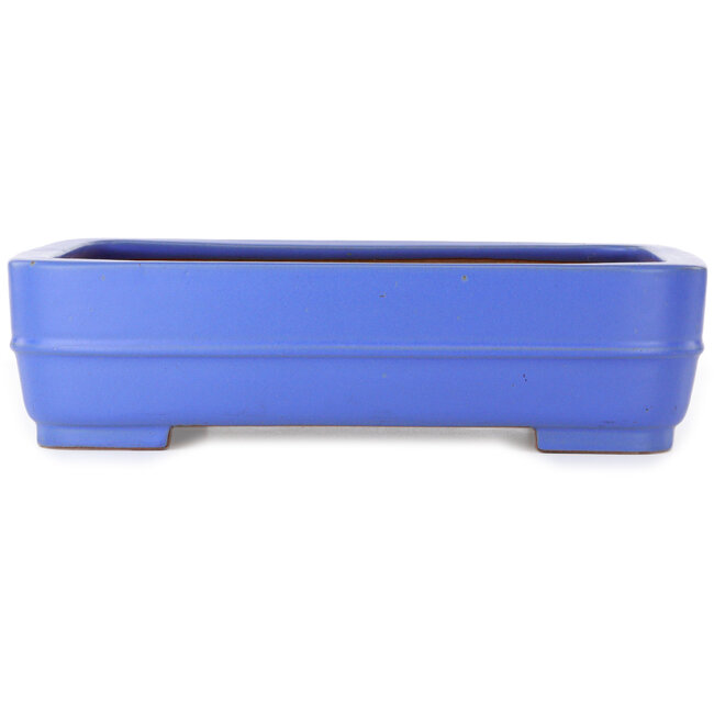 Vaso bonsai rettangolare blu di Seizan (Reihou, Kataoka Katsushi, forno del maestro Seizan) - 415 x 302 x 108 mm