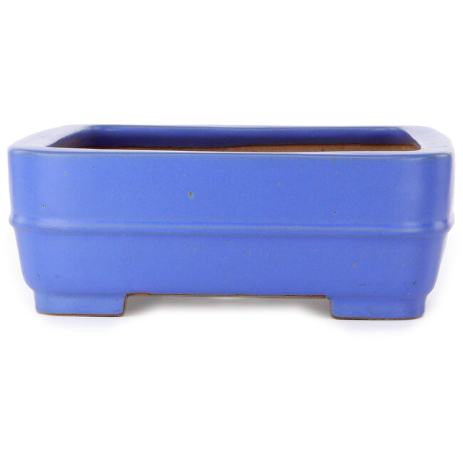 Rectangular blue bonsai pot by Seizan (Reihou, Kataoka Katsushi, master Seizan kiln) - 415 x 302 x 108 mm