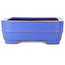 Vaso bonsai rettangolare blu di Seizan (Reihou, Kataoka Katsushi, forno del maestro Seizan) - 415 x 302 x 108 mm