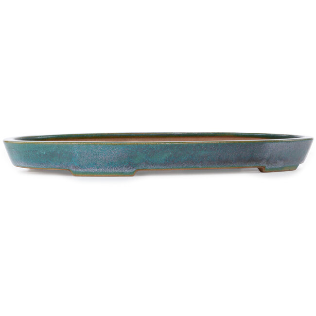 Oval light teal to turquoise bonsai pot by Seizan (Reihou, Kataoka Katsushi, master Seizan kiln) - 490 x 315 x 45 mm