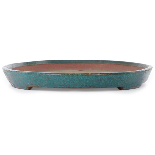 Maceta ovalada para bonsái verde azulado de Seizan (Reihou, Kataoka Katsushi, maestro del horno Seizan) - 475 x 310 x 36 mm