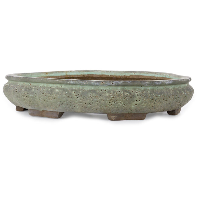 Vaso bonsai verde a forma di loto di Shuhou - 400 x 400 x 74 mm