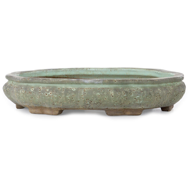 Pot à bonsaï vert en forme de lotus de Shuhou - 400 x 400 x 74 mm