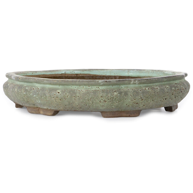 Lotus-shape green bonsai pot by Shuhou - 400 x 400 x 74 mm