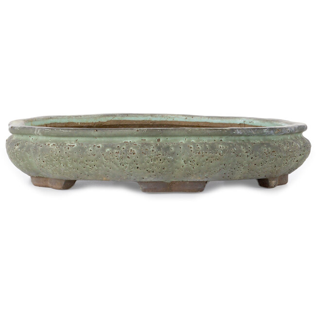 Maceta de bonsái verde con forma de loto de Shuhou - 400 x 400 x 74 mm