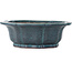 Lotus-shape turquoise bonsai pot by Seizan (Reihou, Kataoka Katsushi, master Seizan kiln) - 370 x 370 x 125 mm