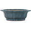 Lotus-shape turquoise bonsai pot by Seizan (Reihou, Kataoka Katsushi, master Seizan kiln) - 370 x 370 x 125 mm